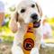 Show in main carousel: Pets First Bottle Squeaky Dog Chew Toy, Philadelphia Flyers slide 2 of 6