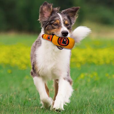 Show full view: Pets First Bottle Squeaky Dog Chew Toy, Philadelphia Flyers slide 3 of 6