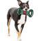 Show in main carousel: Pets First Field Tough Squeaky Dog Chew Toy, Arizona State slide 4 of 6
