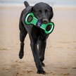 Show in main carousel: Pets First Field Tough Squeaky Dog Chew Toy, Buffalo Bills slide 3 of 6