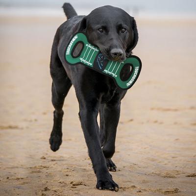 Show full view: Pets First Field Tough Squeaky Dog Chew Toy, Carolina Panthers slide 4 of 7