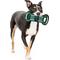 Show in main carousel: Pets First Field Tough Squeaky Dog Chew Toy, Carolina Panthers slide 5 of 7