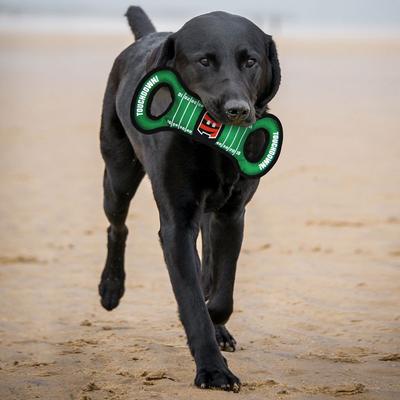 Show full view: Pets First Field Tough Squeaky Dog Chew Toy, Cincinnati Bengals slide 2 of 6