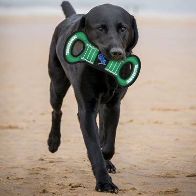 Show full view: Pets First Field Tough Squeaky Dog Chew Toy, Detroit Lions slide 2 of 6