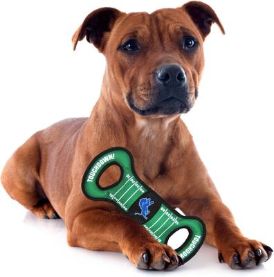 Show full view: Pets First Field Tough Squeaky Dog Chew Toy, Detroit Lions slide 3 of 6