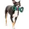 Show in main carousel: Pets First Field Tough Squeaky Dog Chew Toy, Ole Miss slide 4 of 6