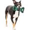 Show in main carousel: Pets First Field Tough Squeaky Dog Chew Toy, Virginia slide 6 of 7