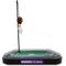 Show in main carousel: Pets First Football Field Cat Scratcher Toy with Catnip, Minnesota Vikings slide 2 of 5