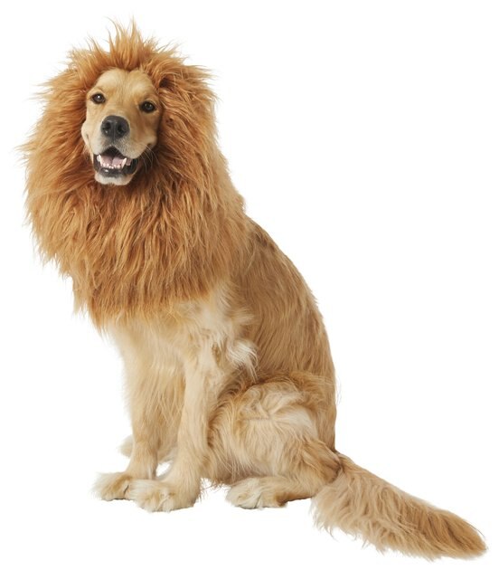 PET KREWE Big Dog Lion Mane - Chewy.com