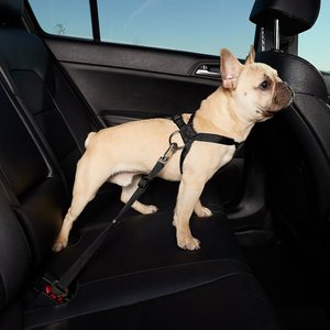 HDP Car Dog Harness & Safety Seat Belt Travel Gear, Black, Small 