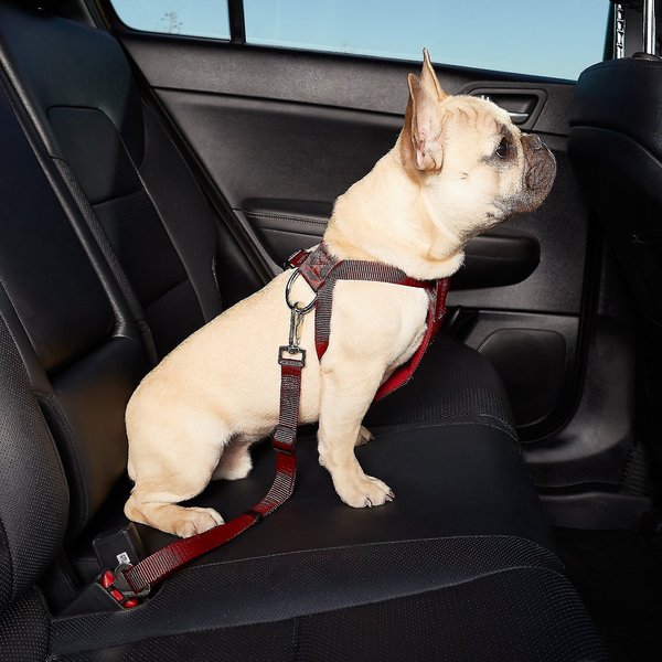 HDP Car Dog Harness & Safety Seat Belt Travel Gear, Red, Small  slide 1 of 6