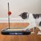 Show in main carousel: Pets First Basketball Cat Scratcher Toy with Catnip, Pittsburg slide 4 of 6
