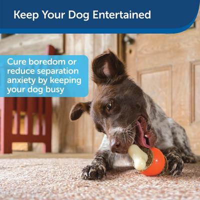 Show full view: PetSafe Busy Buddy Bouncy Bone Treat Dispenser Tough Dog Chew Toy, Large, Orange slide 5 of 13