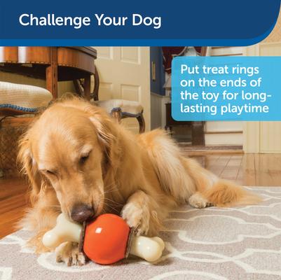 Show full view: PetSafe Busy Buddy Bouncy Bone Treat Dispenser Tough Dog Chew Toy, Large, Orange slide 6 of 13