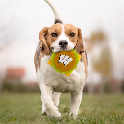 Show full view: Pets First Hamburger Squeaky Dog Chew Toy, Wisconsin slide 4 of 6