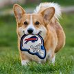 Show in main carousel: Pets First Helmet Tough Squeaky Dog Chew Toy, Buffalo Bills slide 4 of 6