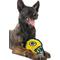 Show in main carousel: Pets First Helmet Tough Squeaky Dog Chew Toy, Green Bay Packers slide 4 of 6