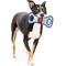 Show in main carousel: Pets First Hockey Tug Tough Squeaky Dog Chew Toy, Washington Capitals slide 2 of 6