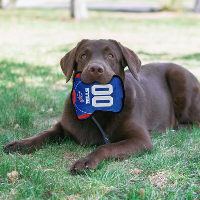 Show full view: Pets First Jersey Tough Squeaky Dog Chew Toy, Buffalo Bills slide 3 of 5