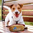 Show in main carousel: Pets First Hot Dog Squeaky Dog Chew Toy, Detroit Lions slide 4 of 6
