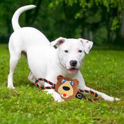 Show full view: Pets First Mascot Tough Squeaky Plush Dog Chew Toy, Chicago Bears slide 2 of 5