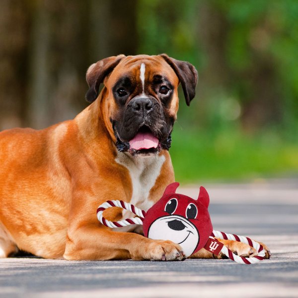 Show full view: Pets First Mascot Tough Squeaky Plush Dog Chew Toy, Indiana slide 4 of 5