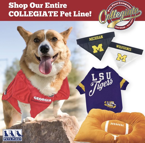 Show full view: Pets First Mascot Tough Squeaky Plush Dog Chew Toy, Indiana slide 5 of 5