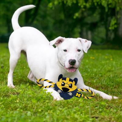 Show full view: Pets First Mascot Tough Squeaky Plush Dog Chew Toy, Michigan slide 3 of 6
