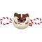 Show in main carousel: Pets First Mascot Tough Squeaky Plush Dog Chew Toy, Wisconsin slide 1 of 5