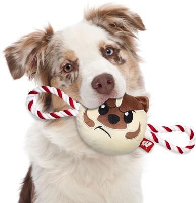 Show full view: Pets First Mascot Tough Squeaky Plush Dog Chew Toy, Wisconsin slide 3 of 5