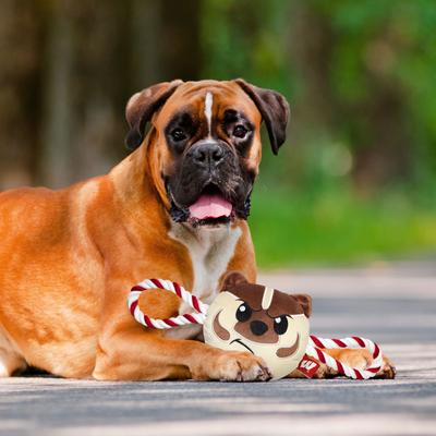 Show full view: Pets First Mascot Tough Squeaky Plush Dog Chew Toy, Wisconsin slide 4 of 5