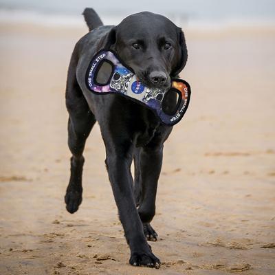 Show full view: Pets First NASA Pull One Small Step Tough Squeaky Dog Chew Toy slide 4 of 5