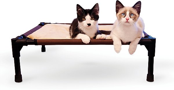 K&H Pet Products Comfy Pet Cot Elevated Pet Bed, Chocolate/Tan, Small slide 1 of 11