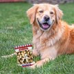 Show in main carousel: Pets First Peanut Bag Squeaky Dog Chew Toy, Alabama slide 4 of 6