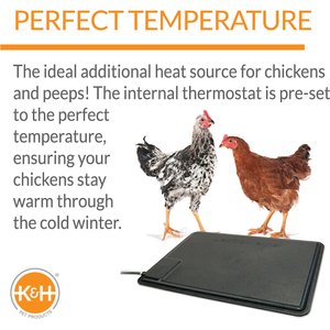 K&H Pet Products Thermo-Chicken Heated Pad, Black