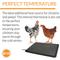 Show in main carousel: K&H Pet Products Thermo-Chicken Heated Pad, Black slide 3 of 9