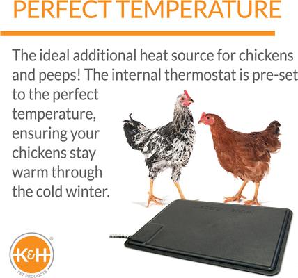 Show full view: K&H Pet Products Thermo-Chicken Heated Pad, Black slide 3 of 9