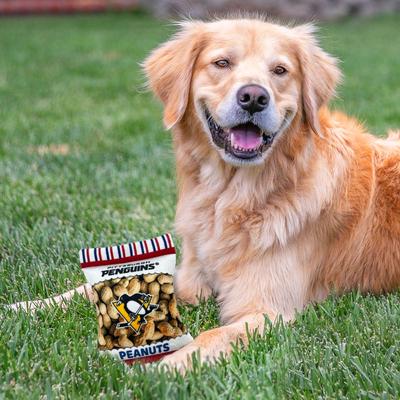 Show full view: Pets First Peanut Bag Squeaky Dog Chew Toy, Pittsburgh Penguins slide 5 of 7