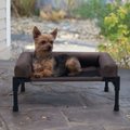 K&H Pet Products Original Bolster Pet Cot Elevated Dog Bed, Chocolate, Small