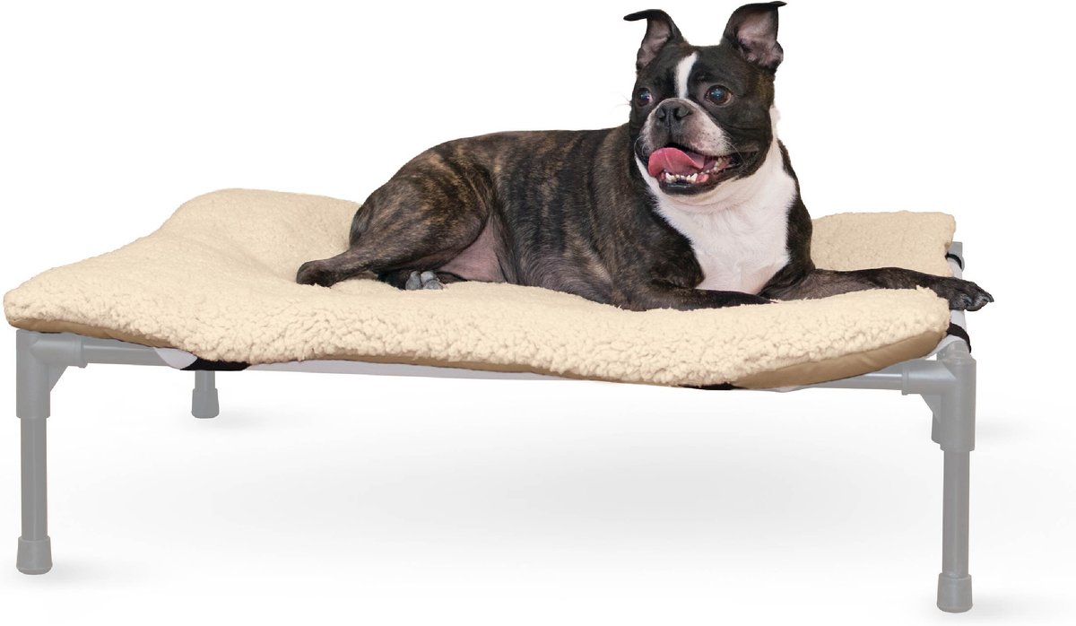 Elevated cot dog bed sale