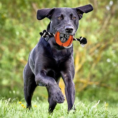 Show full view: Pets First NBA Basketball Tough Squeaky Plush Dog Chew Toy, Brooklyn Nets slide 2 of 6