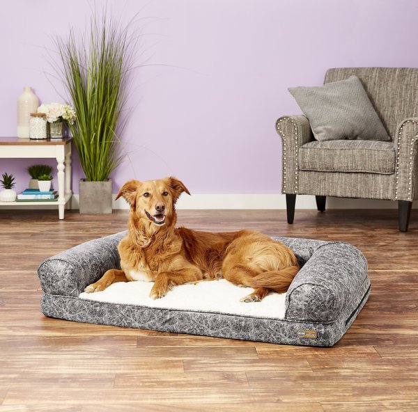 Chewy memory 2024 foam dog bed