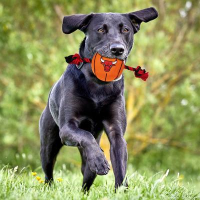 Show full view: Pets First NBA Basketball Tough Squeaky Plush Dog Chew Toy, Chicago Bulls slide 2 of 6