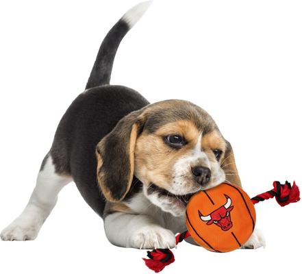 Show full view: Pets First NBA Basketball Tough Squeaky Plush Dog Chew Toy, Chicago Bulls slide 4 of 6