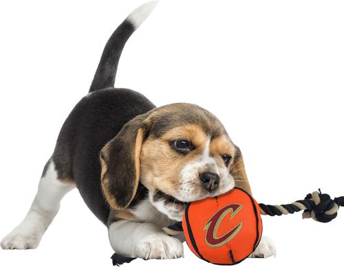 Show full view: Pets First NBA Basketball Tough Squeaky Plush Dog Chew Toy, Cleveland Cavaliers slide 3 of 6
