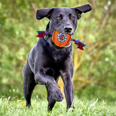 Show full view: Pets First NBA Basketball Tough Squeaky Plush Dog Chew Toy, LA Clippers slide 2 of 6