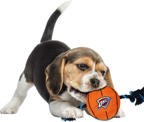 Show full view: Pets First NBA Basketball Tough Squeaky Plush Dog Chew Toy, Oklahoma City Thunder slide 4 of 6