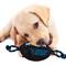 Show in main carousel: Pets First Nylon Football Tough Squeaky Dog Chew Toy, Carolina Panthers slide 3 of 6