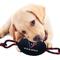Show in main carousel: Pets First Nylon Football Tough Squeaky Dog Chew Toy, Houston Texans slide 3 of 6