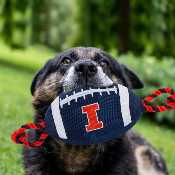 Show full view: Pets First Nylon Football Tough Squeaky Dog Chew Toy, Illinois slide 2 of 6